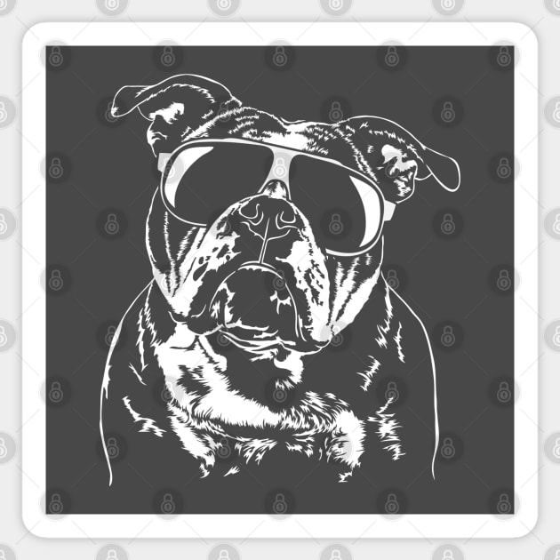 Cool Old English Bulldog with sunglasses Sticker by wilsigns